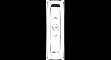 Somfy Situo 1 Variation IO II Pure