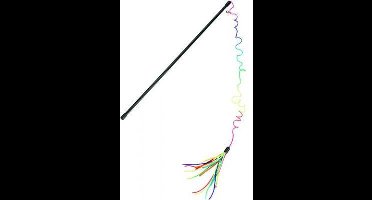 Kattenhengel regenboogpluim