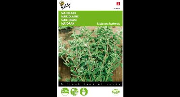 2 stuks - Buzzy - Majoraan