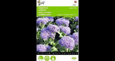 2 stuks Ageratum, Leverbalsem Blue Mink