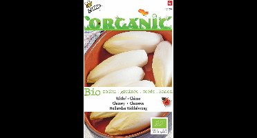 5 stuks - Buzzy - Organic Witlof Middelvroeg (Skal 14275)