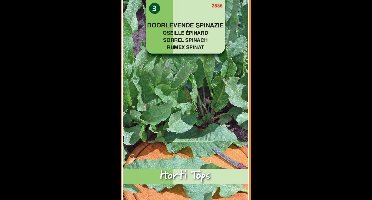 2 stuks Hortitops Spinazie Doorlevende Rumex Patientia