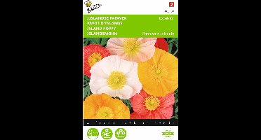 2 stuks - Buzzy - Papaver nudicaule excelsior Gem. IJslandse Papaver