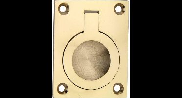 Luikring rechthoekig 50x38mm messing gelakt