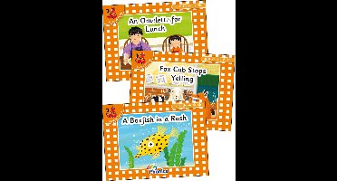 Jolly Phonics Orange Level Readers Set 6
