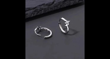 dames oorringen met zirkonia- sterren klapoorringen-12mm