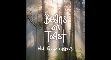 Beans On Toast - Wild Goose Chasers (CD)