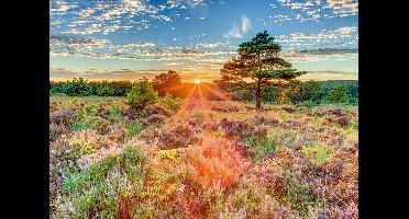 Schmidt puzzel Heidezonsondergang - 1000 stukjes legpuzzel.