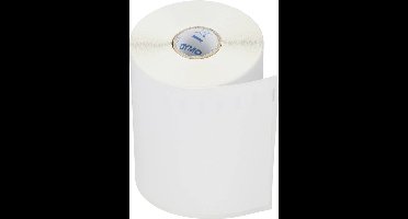 DYMO Labels - Voor LabelWriter 4XL/5XL labelprinters - 102 mm x 210 mm - 140 Labels