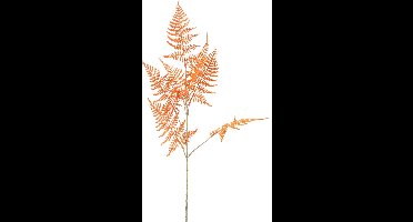 Countryfield Kunstblad Asparagus S oranje
