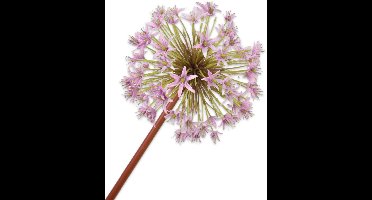 Silk-ka Kunstbloem-Zijden Bloemen Allium Steel Lila 100 cm