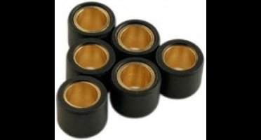 top racing variator roller voor piaggio 50 typhoon scooter 16x13 4.5grs / 6069003 nieuw