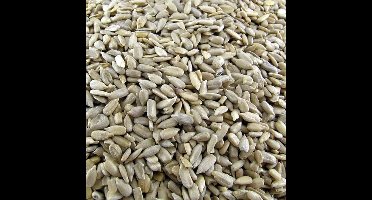 Versele-Laga Gepelde Zonnepitten - Vogelvoer - 25 kg