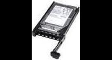 MicroStorage interne harde schijven 2.5" SAS Hotswap 146GB