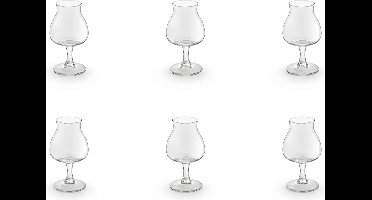 Royal Leerdam Specials Bierglas 250 ml - 6 stuks