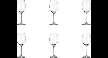 Royal Leerdam L Esprit du Vin Wijnglas 25 cl - 6 stuks