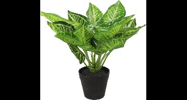 Non-branded Kunstplant Calathea S 25 X 25 Cm Zijde Groen/zwart