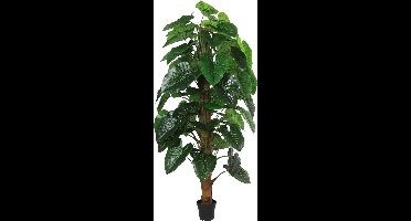 Countryfield kunstplant Monstera L