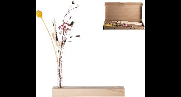 Gusta - Cadeau - Droogbloemen - Brievenbuscadeau