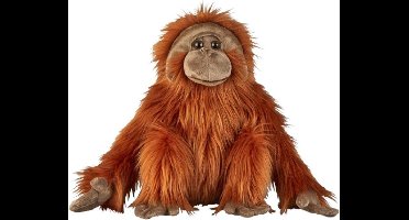 Pluche Orang Oetan knuffel - 50 cm - aap/apen - knuffeldier - jungle dieren - voor kinderen - spelen
