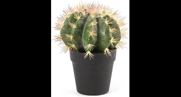 Cactus - Kunstplant - 29cm - Groen - Kunststof - Ø14cm - Melocactus