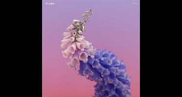 Flume - Skin (CD)