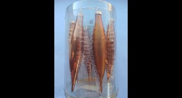 Kerstkegels 6 glazen kerstkegels roodbruin