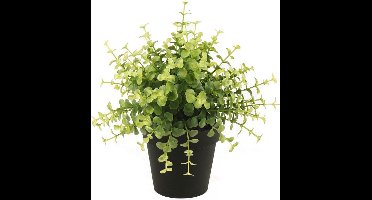 Kunst Eucalyptus plant 20 cm in zwarte pot