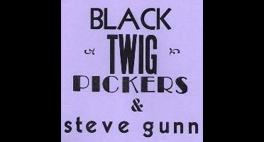 Black Twig Pickers & Steve Gunn - Lonesome Valley (7" Single) (Limited Edition)