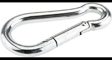 DX Karabijnhaak 80x8 mm RVS AISI 316