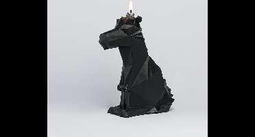 PyroPet Dreki - Zwart - 54 Celsius
