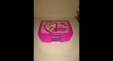 Lunchbox Paw Patrol Sky