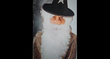 XXL baard wit Feestjecreatief