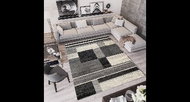 Tapiso Qmega Vloerkleed Grijs Geometrisch Modern Woonkamer Tapijt Maat- 140x200