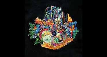 Kaitlyn Aurelia Smith - Ears (CD)