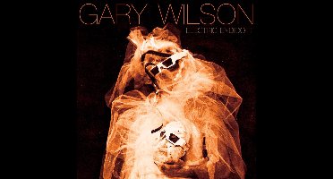 Gary Wilson - Electric Endicott (CD)