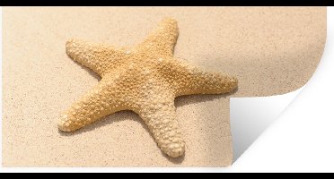 Muurstickers - Sticker Folie - Zeester - Strand - Geel - 40x20 cm - Plakfolie - Muurstickers Kinderkamer - Zelfklevend Behang - Zelfklevend behangpapier - Stickerfolie