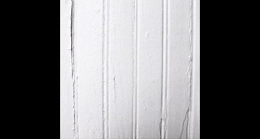 Beach Fossils - Beach Fossils (CD)