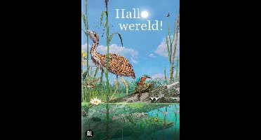 Hallo Wereld (DVD)