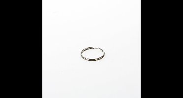 Dulimex 1602-25N Sleutelring diameter 25mm uitwendig vernikkeld 9.110160225