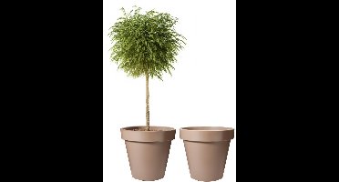 Pro Garden Bloempot - 2x - mokka bruin - rond - D50 cm - kunststof - plantenpot - tuin buiten