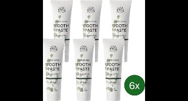 Urtekram Eucalyptus Tandpasta – 75 ml – Multipack met 6 stuks