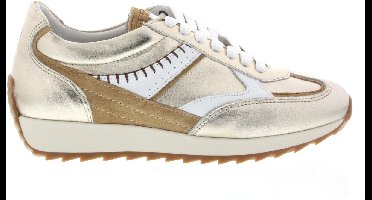 Dames Sneakers Piedi Nudi Harlem 01.05 Gold White Goud - Maat 39