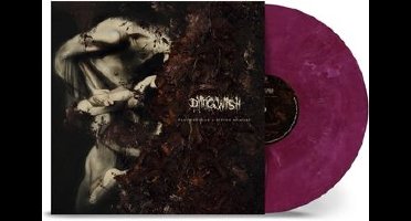 Fragments of a Bitter Memory