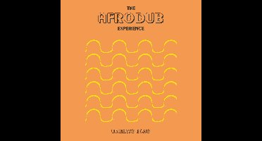 The Afrodub Experience