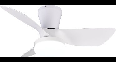 REALITY RANDERS - Ventilator - Wit mat - incl. 1x SMD 20 W - Afstandsbediening - Geintegreerde dimmer - Traploos instelbare lichtkleur - Dimbaar met schakelaar - Niet externe dimbaar - Geheugenfunctie - Zomer- en wintermodus - 6 snelheidsniveaus