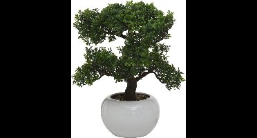 Boltze- Kunstplant - Bonsai - Groen - 33 x 32 x 33 cm - Kunststof - Decoratieve kunstplant in Pot