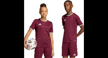 adidas T-shirt Kinderen Entrada 26 Jersey Bordeauxrood - Maat 140cm
