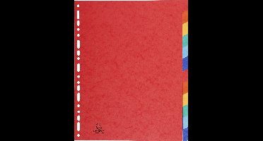 Exacompta 25x Tabbladen in echt soepel glanskarton 225g/m2 FSC® met 12 blanco tabs. - Geassorteerd - 2412E