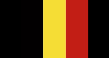 Belgische vlag - 20x30cm